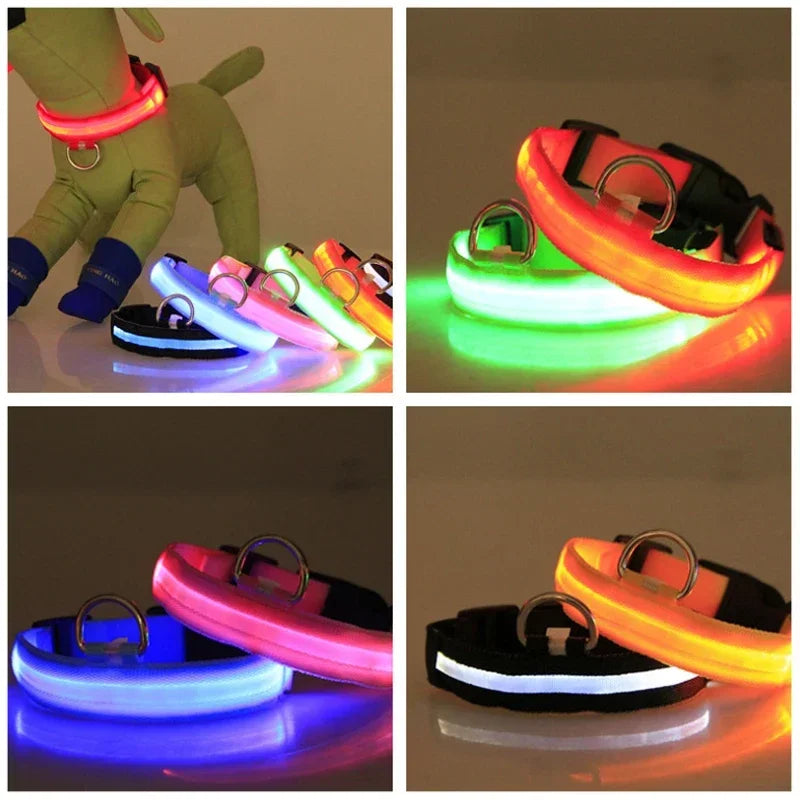 Night Safety LED Collars