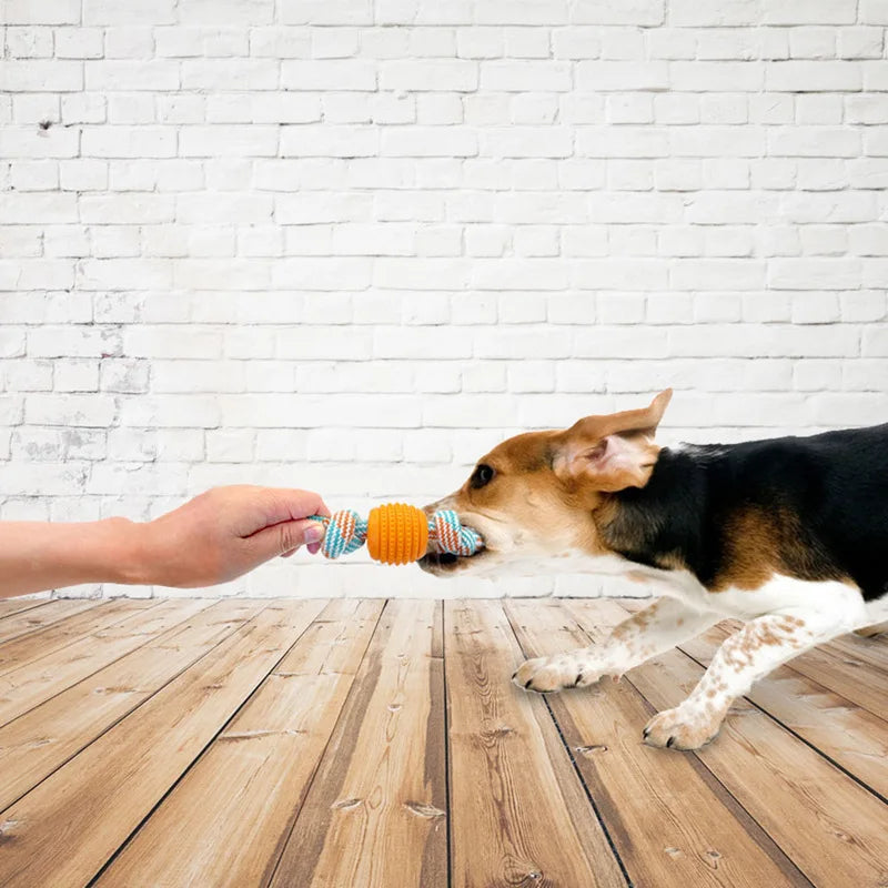 Double Knot Chew Toy For Puppies