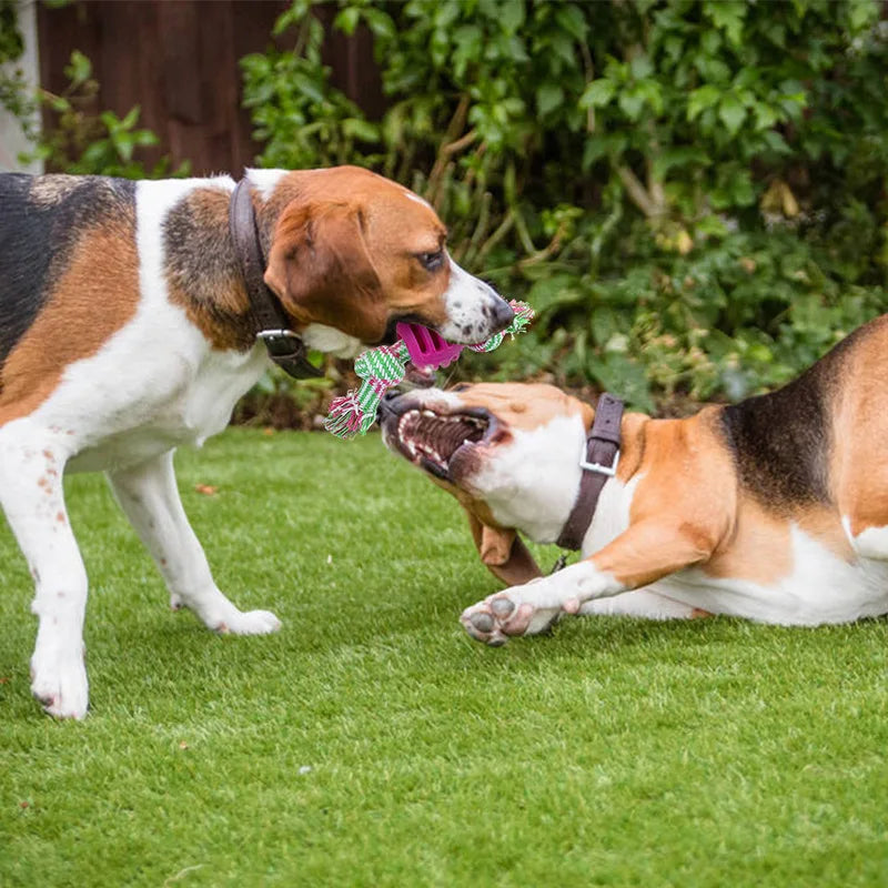 Double Knot Chew Toy For Puppies