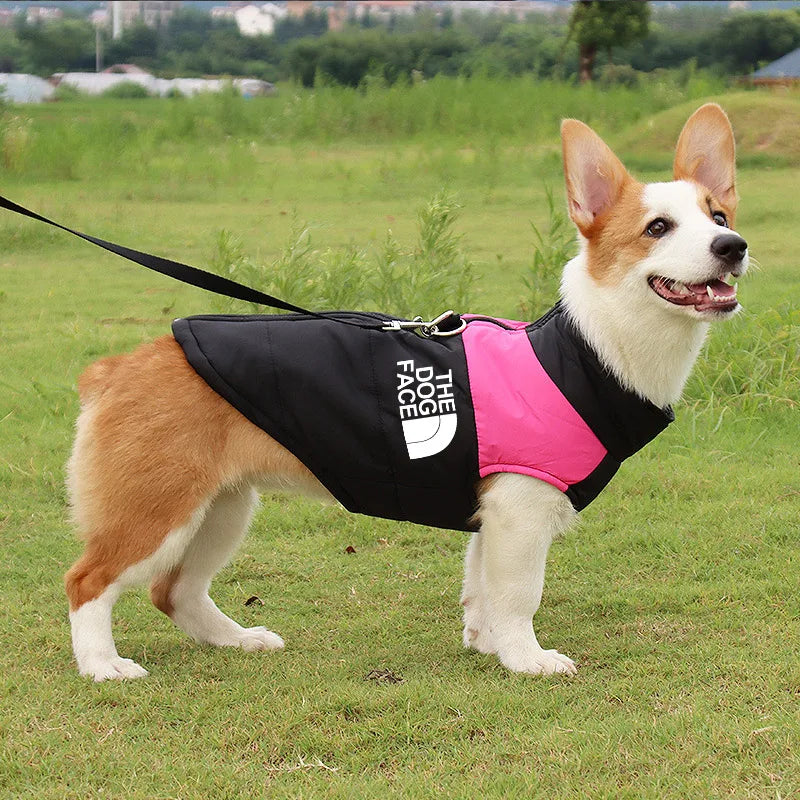 Waterproof Padded Winter Vest For Dogs