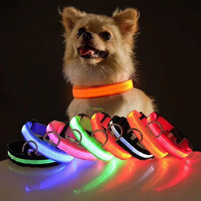 Night Safety LED Collars