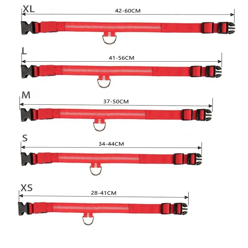 Night Safety LED Collars
