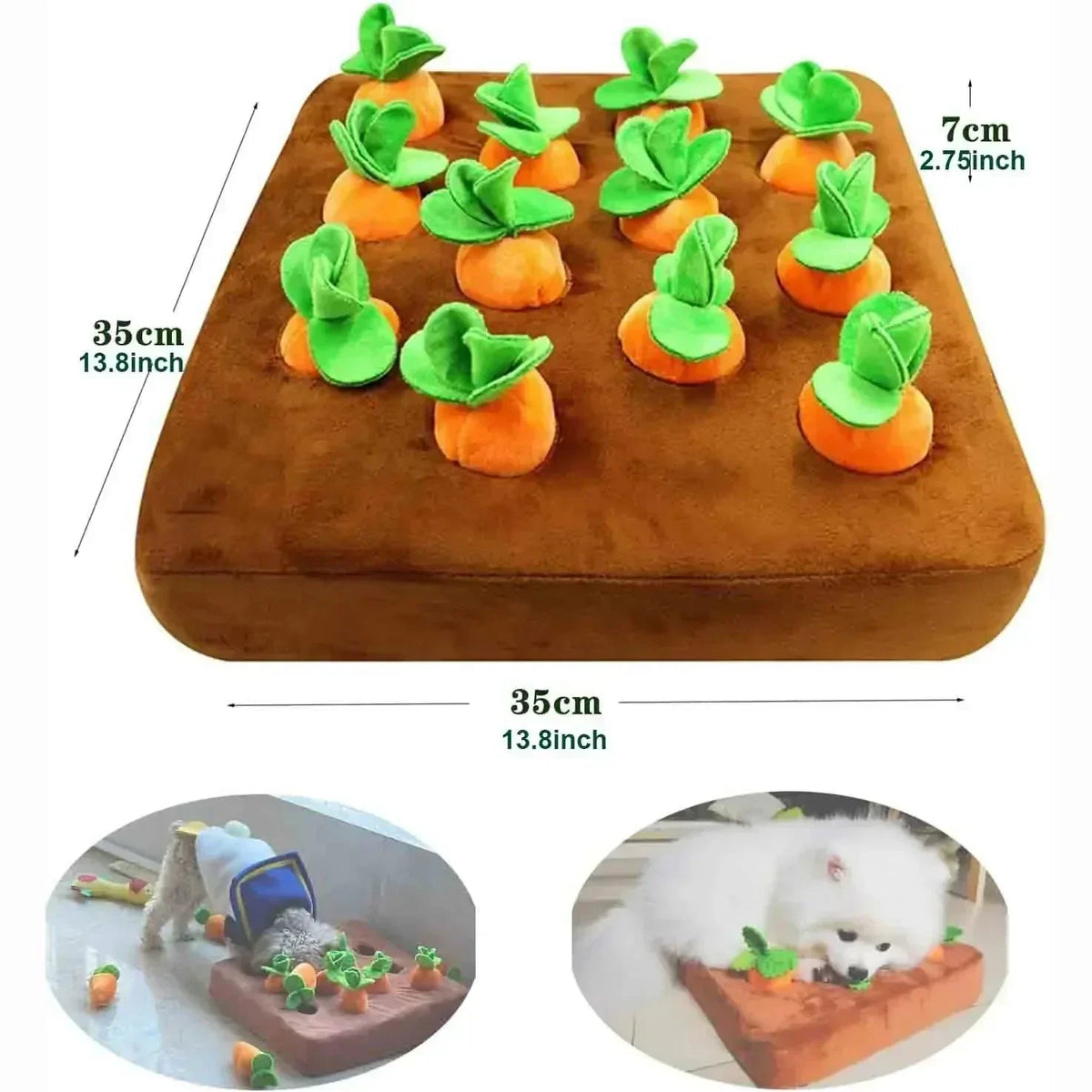 Carrot Farm Interactive Plush Dog Toy Petritzy