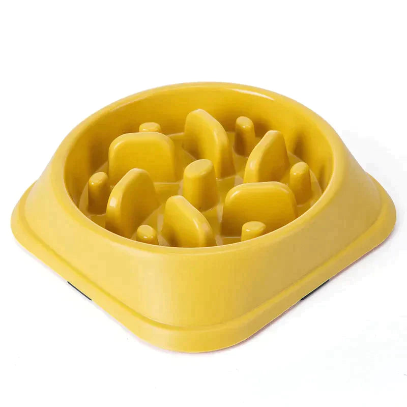 Pet Slow Feeder Bowl Petritzy