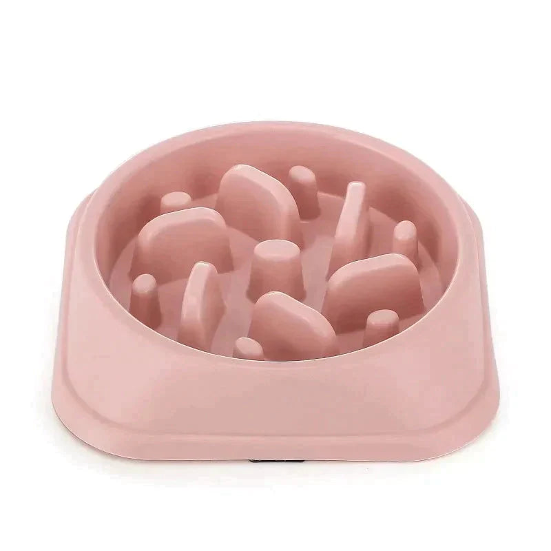 Pet Slow Feeder Bowl Petritzy