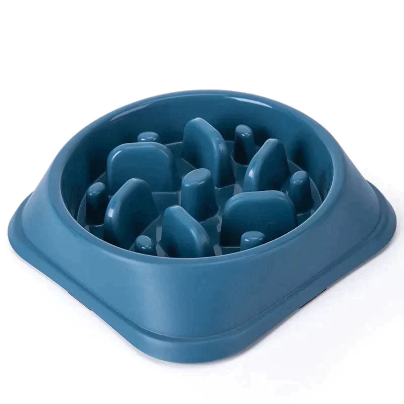 Pet Slow Feeder Bowl Petritzy