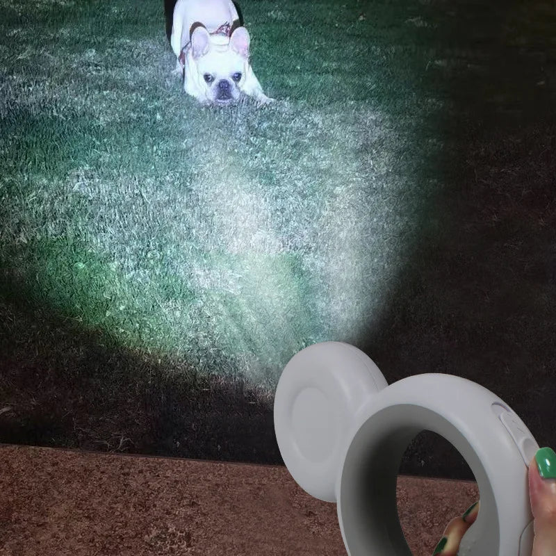 Night Light Dog Leash