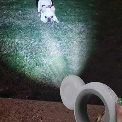 Night Light Dog Leash