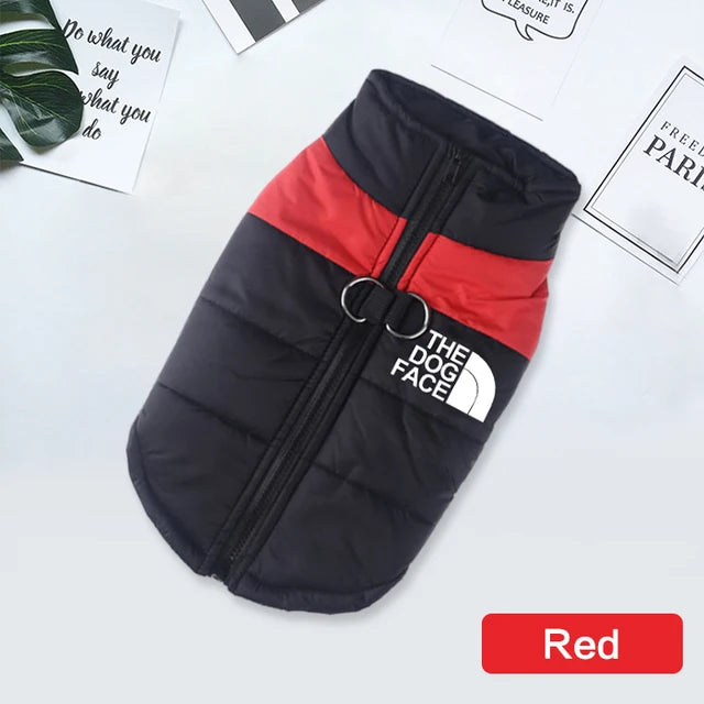 44849159536807|44849159667879|44849159798951|44849159930023|44849159995559|44849160126631|44849160257703|44849160388775