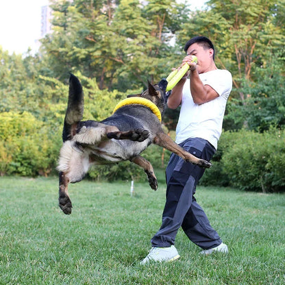 Flying Disc For Dogs