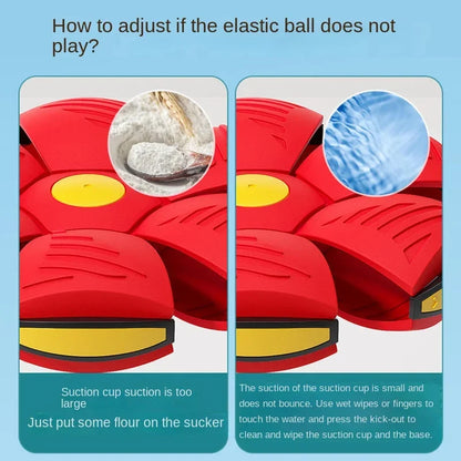 Flying Ball For Dogs