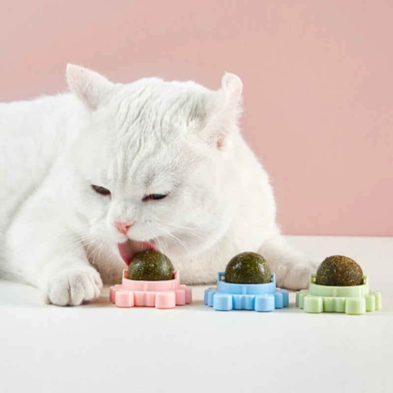 Rotatable Catnip Wall Ball