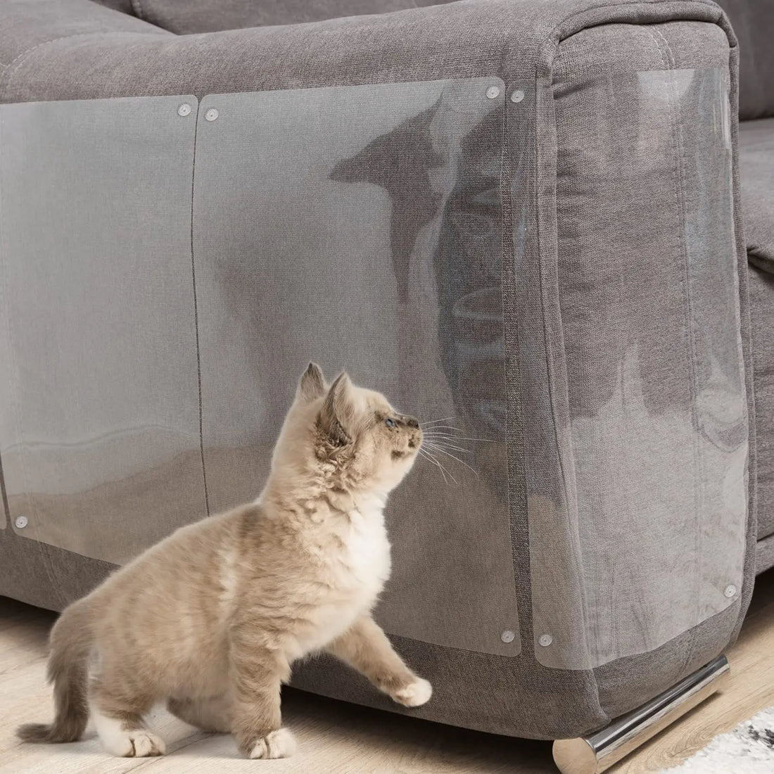Cat ScratchGuard For Sofa