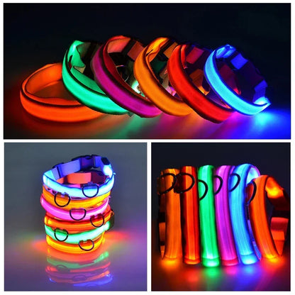 Night Safety LED Collars