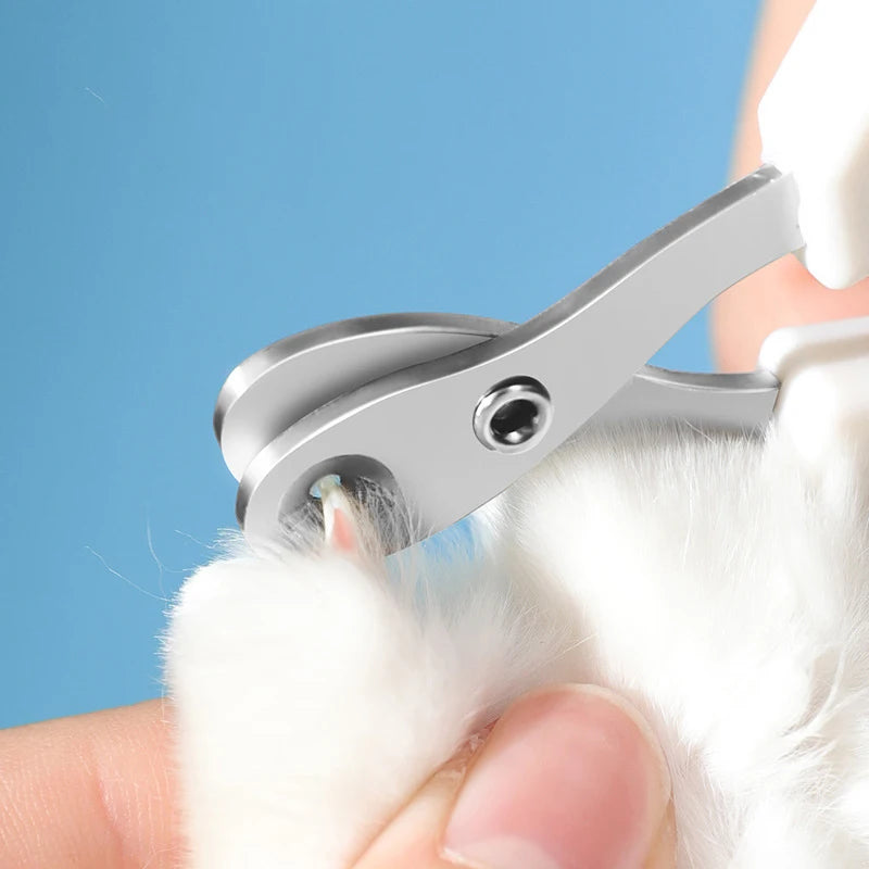 Nail Clippers for Small Cats &amp; Dogs