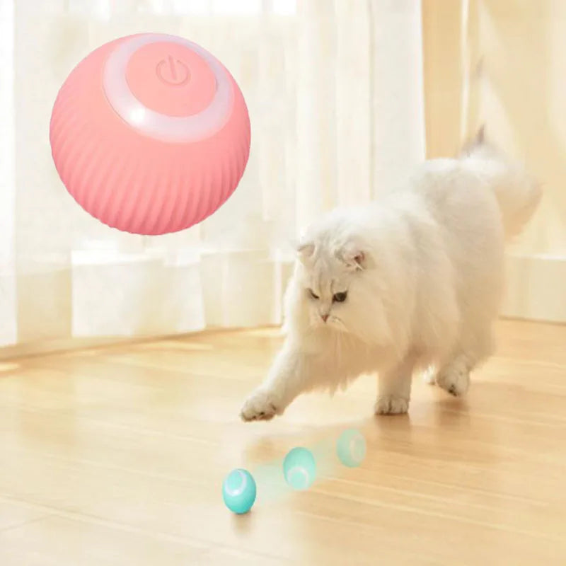 Smart Rolling Ball For Cats