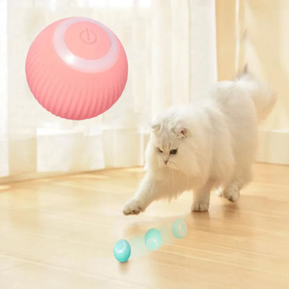 Smart Rolling Ball For Cats