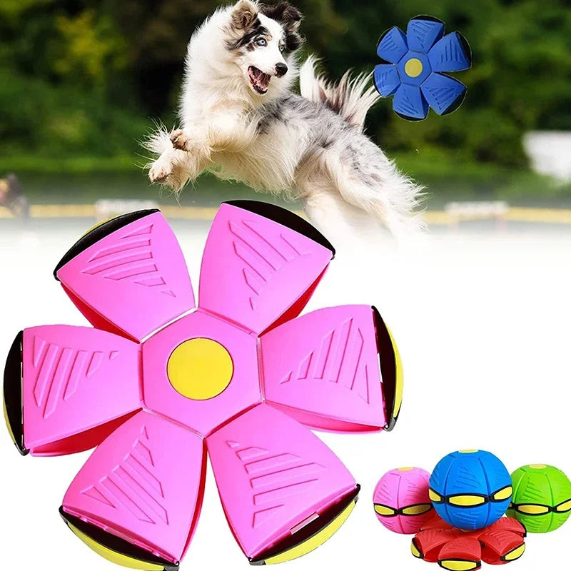 Flying Ball For Dogs