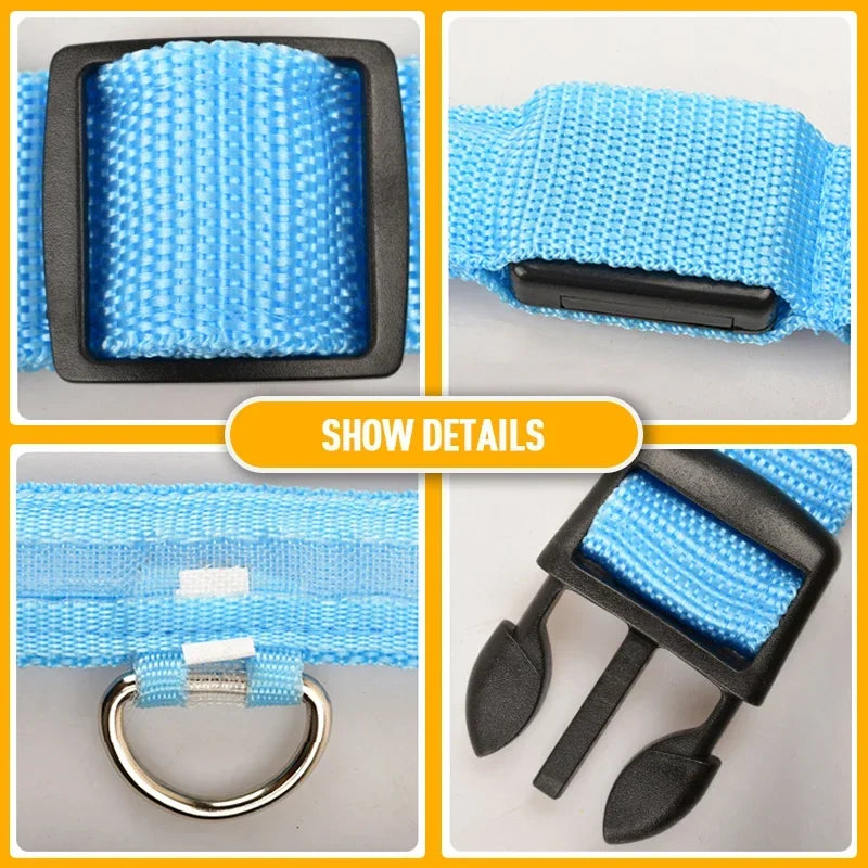 Night Safety LED Collars