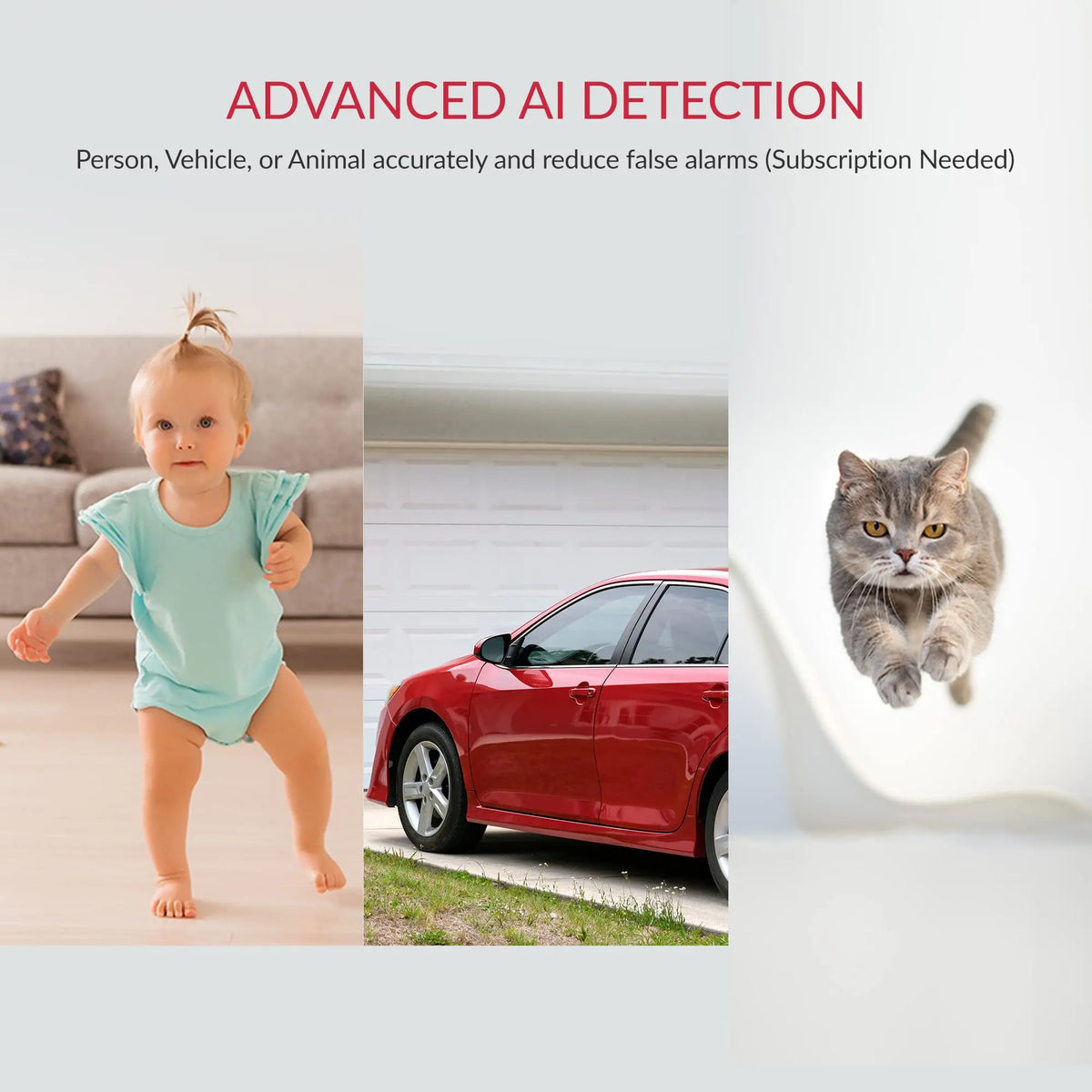 Motion Detection Surveillance Camera