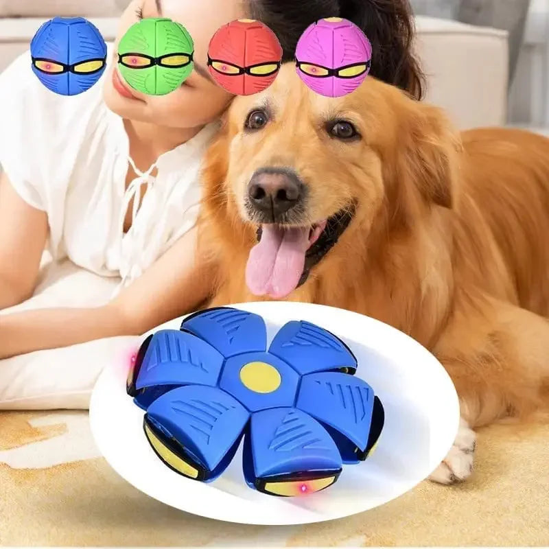 Flying Ball For Dogs