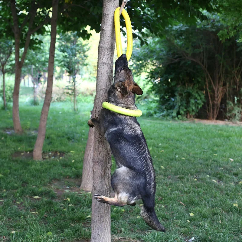 Flying Disc For Dogs