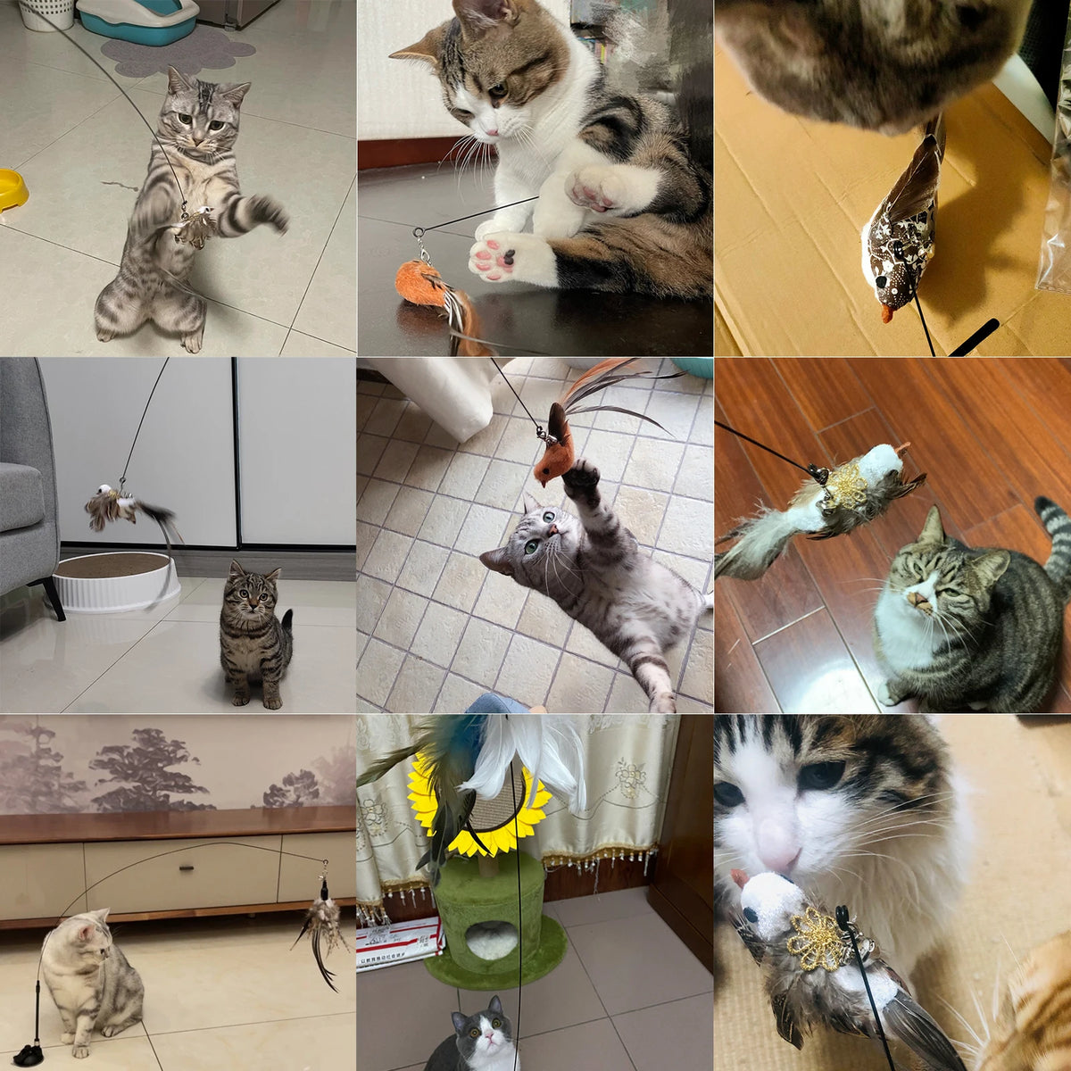 Handfree Interactive Toy For Cats