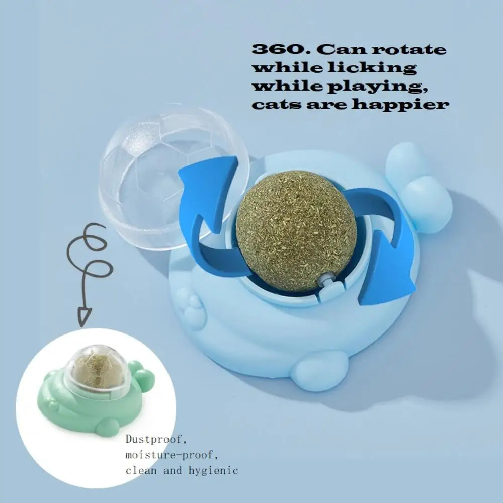 Rotatable Catnip Wall Ball