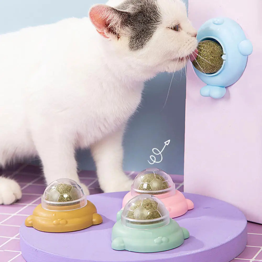 Rotatable Catnip Wall Ball
