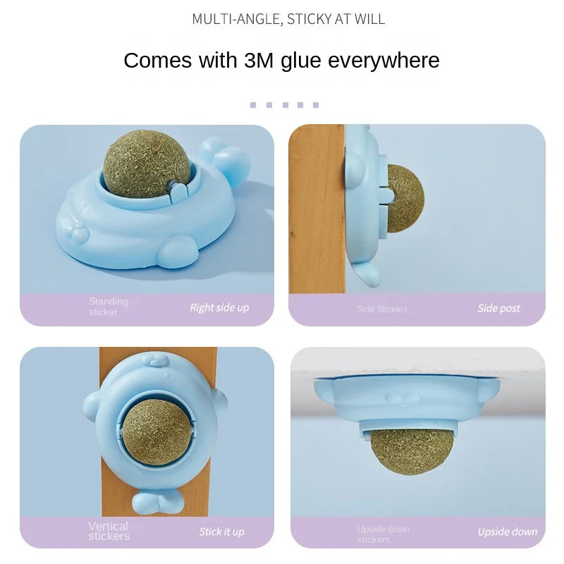 Rotatable Catnip Wall Ball