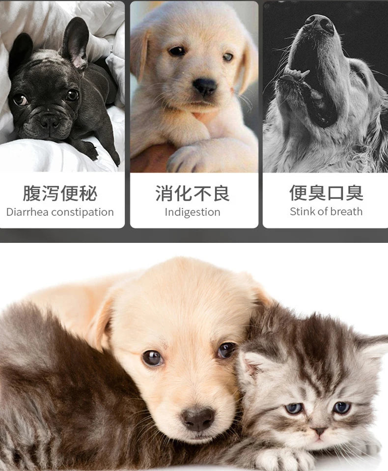Active Nutritional Probiotics For Pets