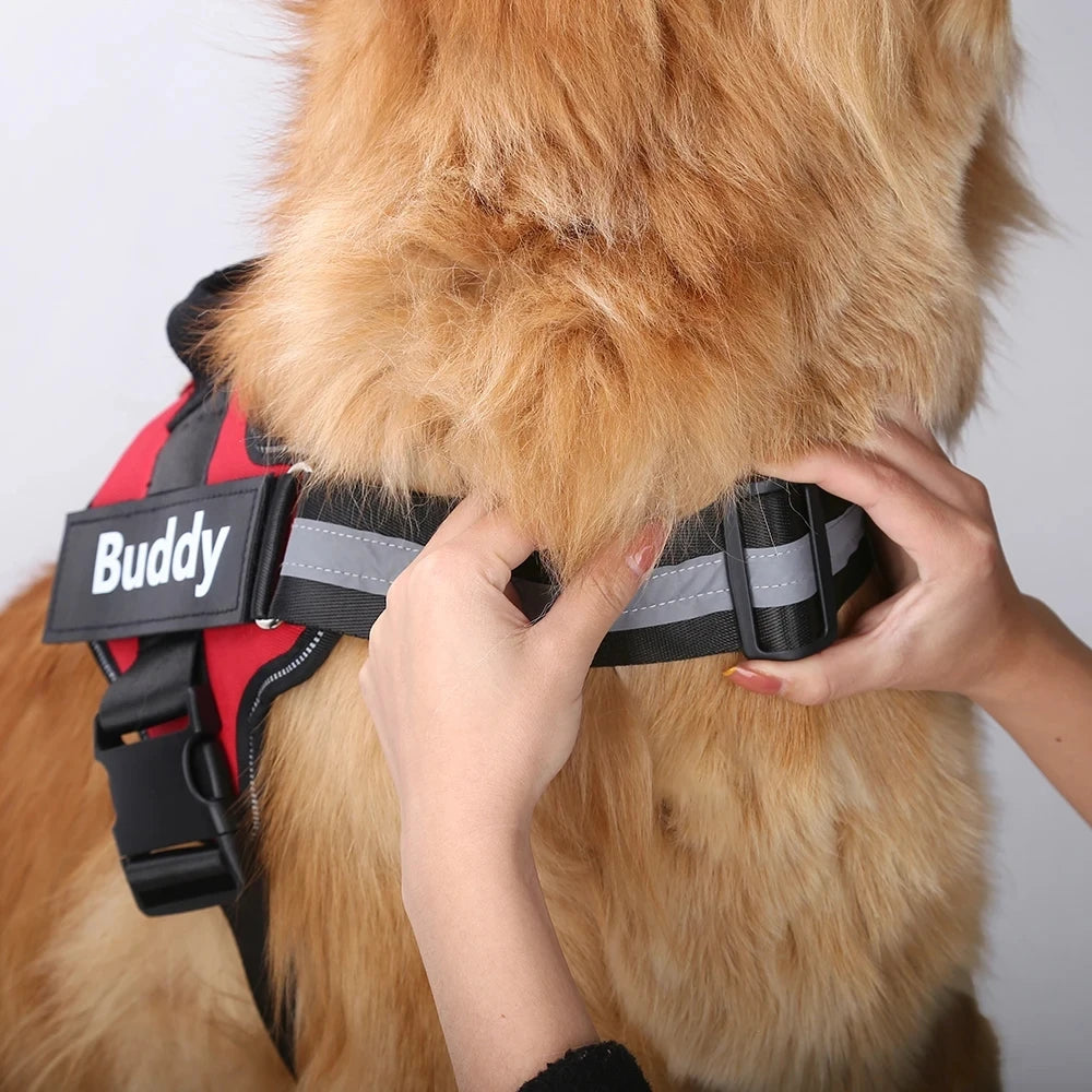 Reflective Dog Harness